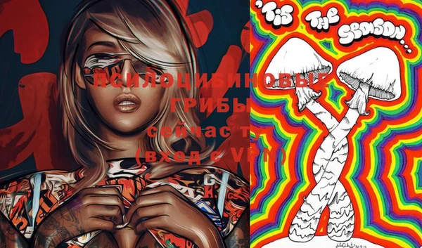 PSILOCYBIN Нягань
