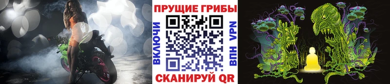 Галлюциногенные грибы ЛСД  купить наркотики сайты  Заводоуковск 
