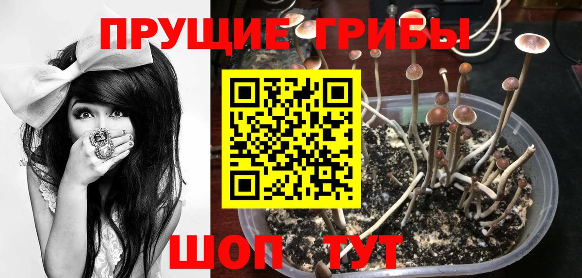 Галлюциногенные грибы ЛСД Заводоуковск