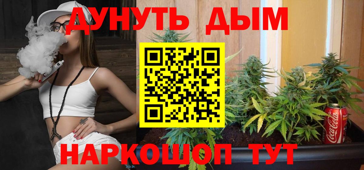 Конопля сатива Заводоуковск